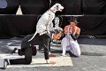 Maschseefest   603